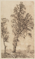 KG 1985 059
          <br/>
          Landschap met berken bij Koudhoorn, Veluwe
          <br/>
          <em>Graaf, Frederik de (1871-1930)</em>
